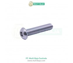Torx Button Head With Pin
